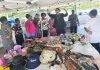 Min Heyliger-Marten unannounced visit to small businesswomen avillion