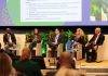 Unlocking Access to Climate Finance for EU and UK Overseas Countries & Territories (OCTs)