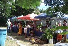 SMFC Relocates Farmers Market to St Peters Community Center