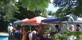 SMFC Relocates Farmers Market to St Peters Community Center