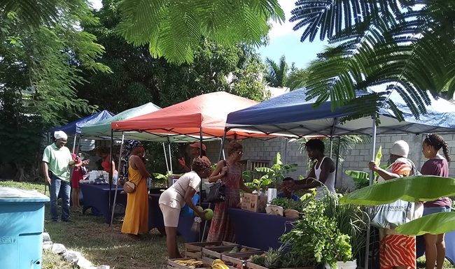 SMFC Relocates Farmers Market to St Peters Community Center