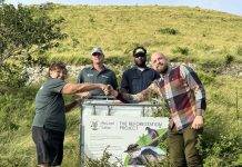 SCF’s ReLeaf Saba project transitions to PES’s reforestation project