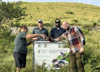 SCF’s ReLeaf Saba project transitions to PES’s reforestation project