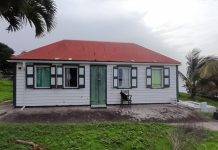 Hyacinth House Restoration in 2025