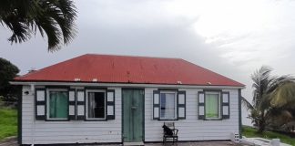 Hyacinth House Restoration in 2025