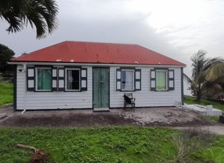 Hyacinth House Restoration in 2025