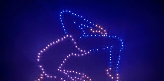 Drone Swarm Light Show Authorization