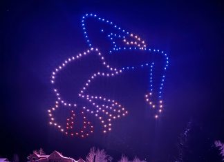 Drone Swarm Light Show Authorization