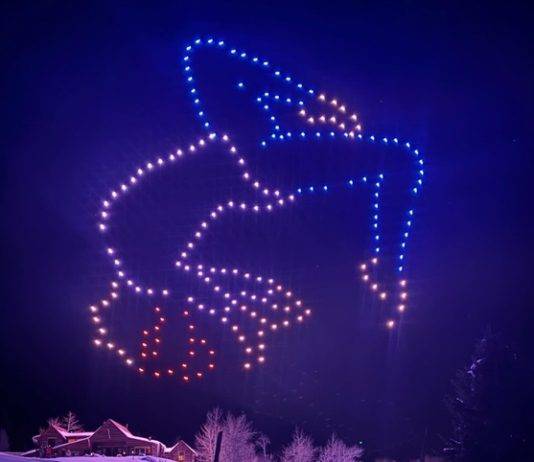 Drone Swarm Light Show Authorization