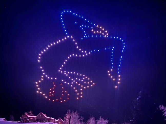 Drone Swarm Light Show Authorization