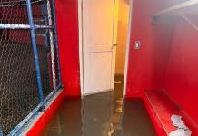 Vandalism at Little League Sports Stadium Under Investigation