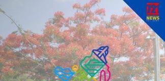 St. Maarten Tourism Bureau Opens Call for Local Content Talent