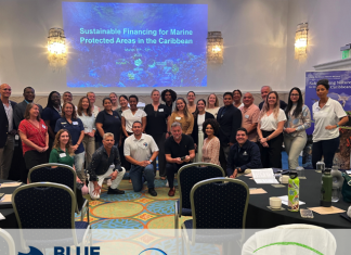 Caribbean Nations Unite to Advance Marine Conservation Financing at Curaçao Workshop