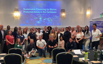 Caribbean Nations Unite to Advance Marine Conservation Financing at Curaçao Workshop