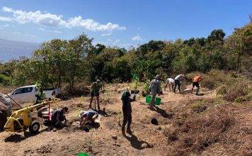 Statia’s botanical garden landscaping plan underway
