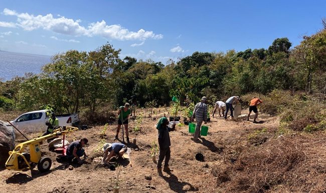 Statia’s botanical garden landscaping plan underway