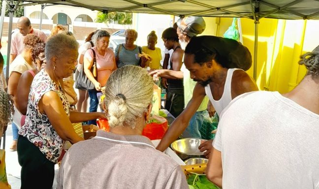 SMFC Farmers Market – The Road to Sustainability