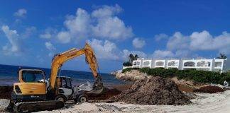 Ministry of VROMI Responds to Sargassum Emergency with Island-Wide Cleanup Operations