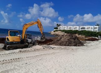 Ministry of VROMI Responds to Sargassum Emergency with Island-Wide Cleanup Operations