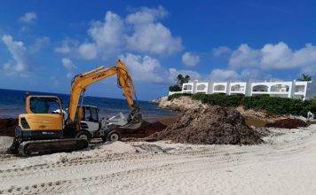 Ministry of VROMI Responds to Sargassum Emergency with Island-Wide Cleanup Operations