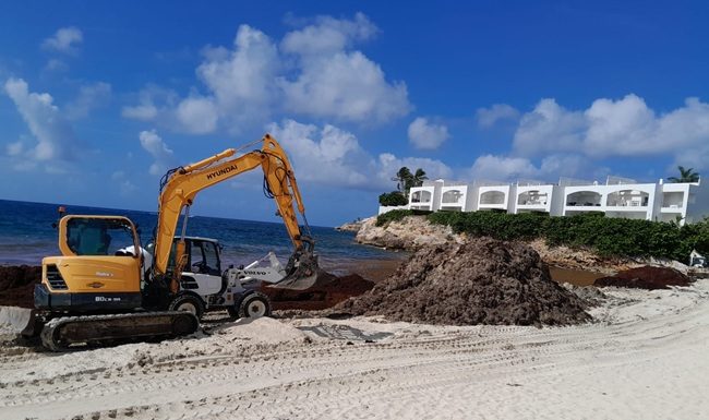 Ministry of VROMI Responds to Sargassum Emergency with Island-Wide Cleanup Operations