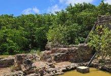 FOGA salt factory clean up a community effort to maintain one of our oldest monuments