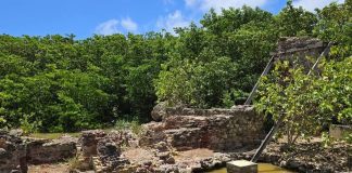 FOGA salt factory clean up a community effort to maintain one of our oldest monuments