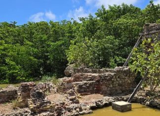 FOGA salt factory clean up a community effort to maintain one of our oldest monuments