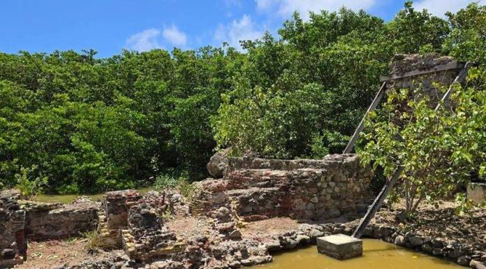 FOGA salt factory clean up a community effort to maintain one of our oldest monuments