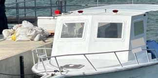 The Dutch Caribbean Coast Guard confiscated 421-KG of conch and 117 lobsters