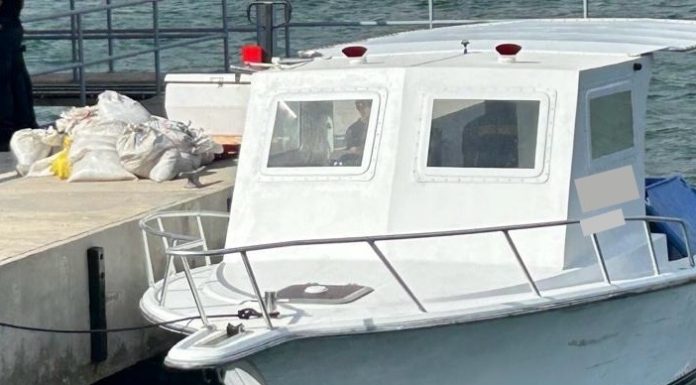 The Dutch Caribbean Coast Guard confiscated 421-KG of conch and 117 lobsters