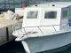 The Dutch Caribbean Coast Guard confiscated 421-KG of conch and 117 lobsters