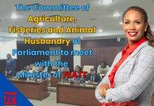 The Committee of Agriculture, Fisheries and Animal Husbandry of Parliament to meet with the Minister of TEATT to continue discussions regarding agriculture on Sint Maarten