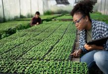 Pre-announcement Call for proposals PhD Scholarships for Caribbean Researchers