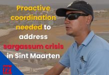 Proactive coordination needed to address sargassum crisis in Sint Maarten