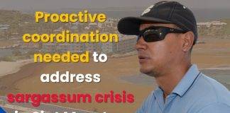 Proactive coordination needed to address sargassum crisis in Sint Maarten