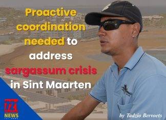 Proactive coordination needed to address sargassum crisis in Sint Maarten