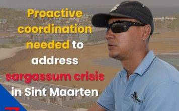 Proactive coordination needed to address sargassum crisis in Sint Maarten