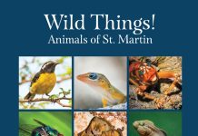 Les Fruits de Mer Association Launches Updated Local Wildlife Books this Saturday with Free Giveaway Funded by Fondation Air France