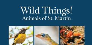 Les Fruits de Mer Association Launches Updated Local Wildlife Books this Saturday with Free Giveaway Funded by Fondation Air France