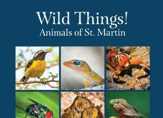 Les Fruits de Mer Association Launches Updated Local Wildlife Books this Saturday with Free Giveaway Funded by Fondation Air France
