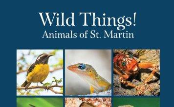 Les Fruits de Mer Association Launches Updated Local Wildlife Books this Saturday with Free Giveaway Funded by Fondation Air France