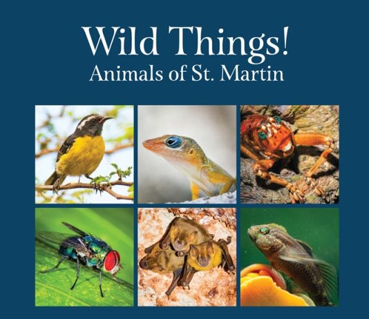 Les Fruits de Mer Association Launches Updated Local Wildlife Books this Saturday with Free Giveaway Funded by Fondation Air France