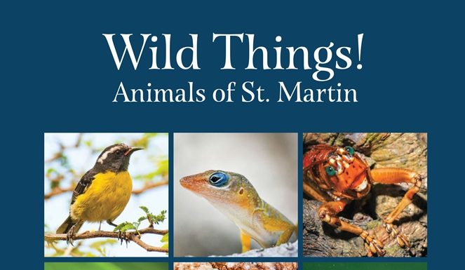 Les Fruits de Mer Association Launches Updated Local Wildlife Books this Saturday with Free Giveaway Funded by Fondation Air France