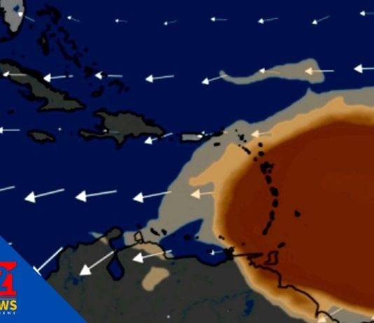 CPS calls on the community to take action on harmful effects of Saharan dust