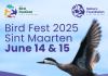 First Sint Maarten Bird Fest: a weekend to celebrate bird conservation on the island