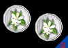 Marking the adoption of the Cg as sole legal tender in Curaçao and Sint Maarten CBCS Issues Special Colored Cg 0.50 Circulation Coin