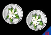 Marking the adoption of the Cg as sole legal tender in Curaçao and Sint Maarten CBCS Issues Special Colored Cg 0.50 Circulation Coin