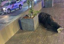 Arrest Made in Connection with Drug Possession and Attempted Motorcycle Theft in Cupe-Coy