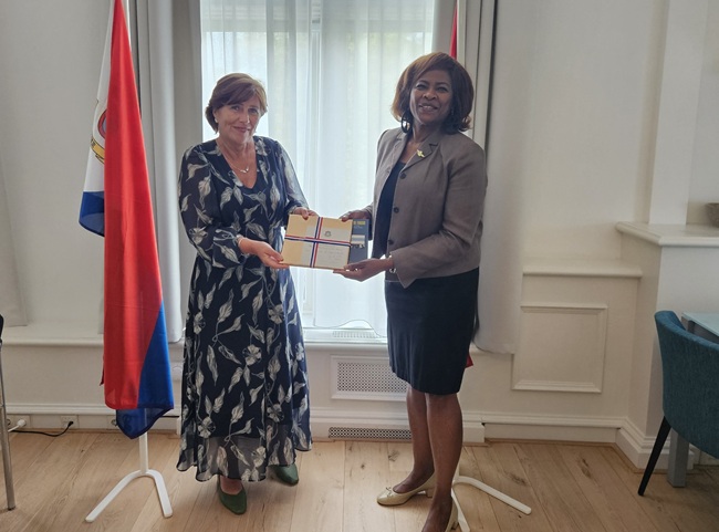 MinPLEN GA Meets with the Irish Ambassador